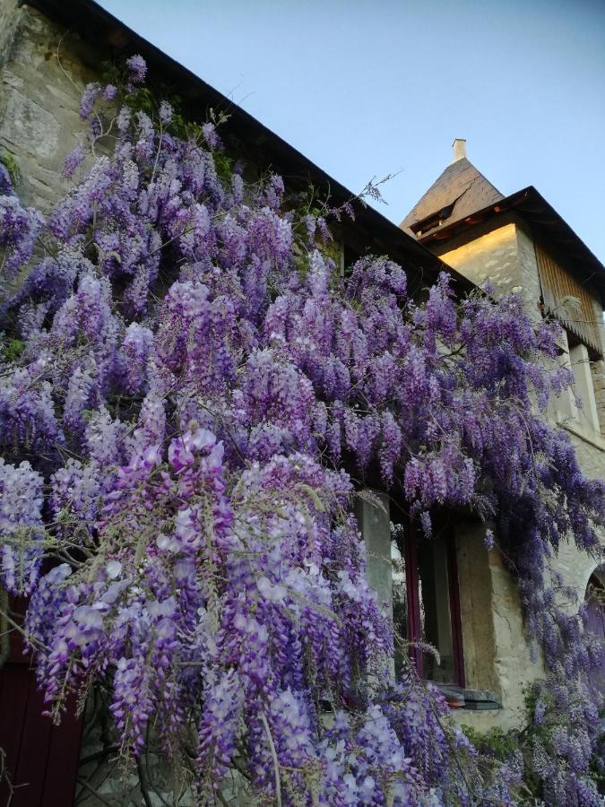 Chateau St.Gaultier Saint-Gaultier Eksteriør bilde